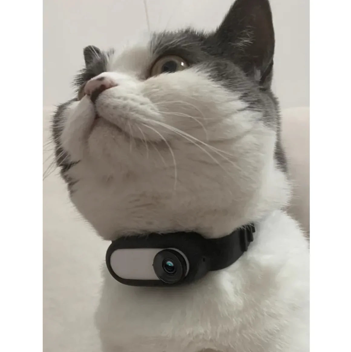 Cámara Collar