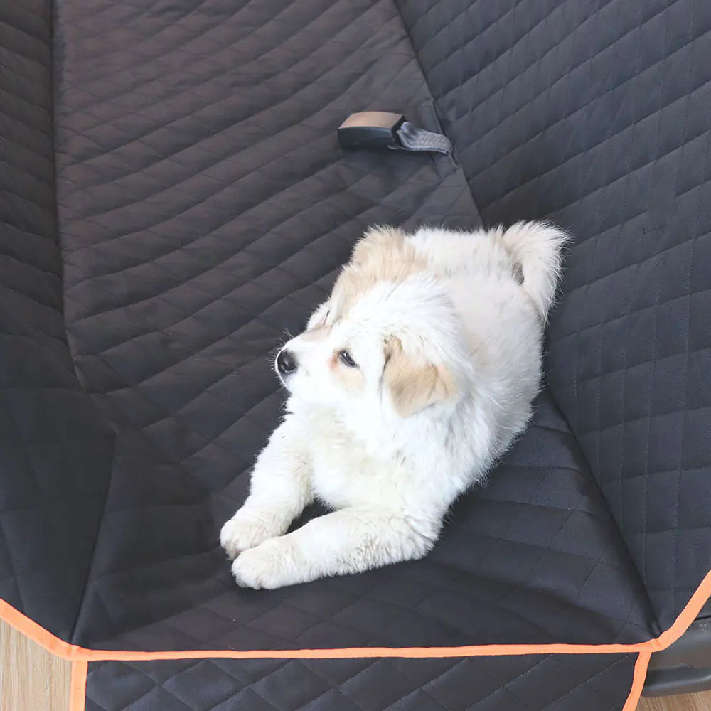 PetGuard Travel Manta 🐾