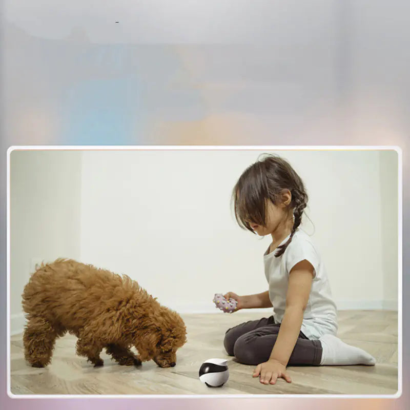 Camera Inteligente 🧠 para mascota