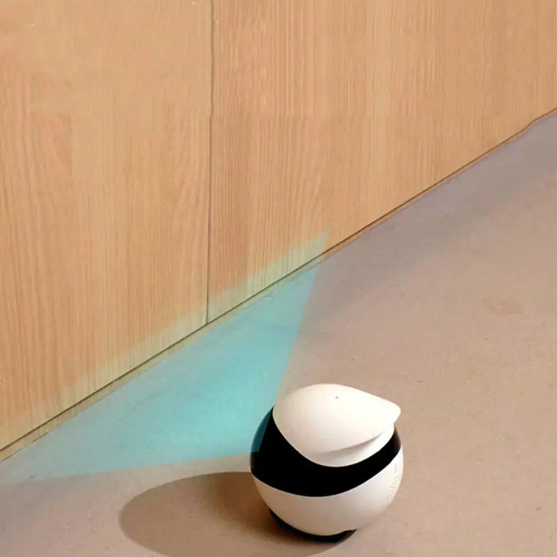 Camera Inteligente 🧠 para mascota