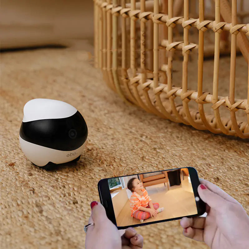 Camera Inteligente 🧠 para mascota