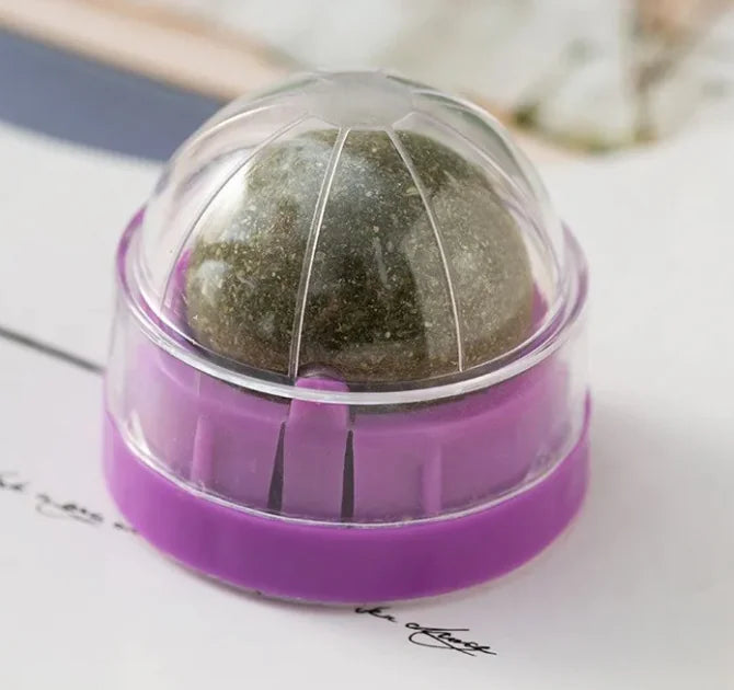 🌿🐱 Pelota de Catnip para Gatos – Diversión Natural y Saludable 🐾🎉