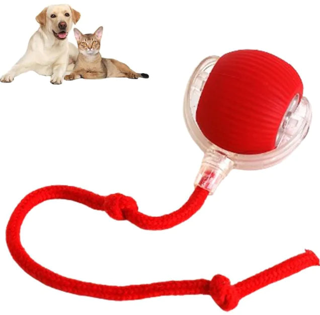 RuedaRueda Pet