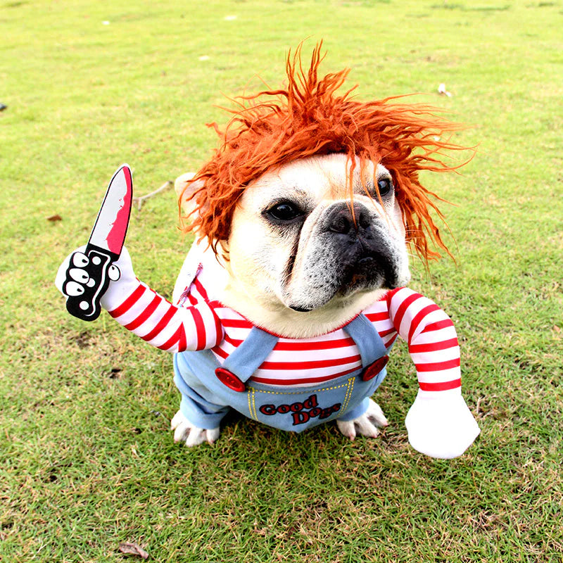 Cosplay de ChucKiller Dog Halloween Pet Costume