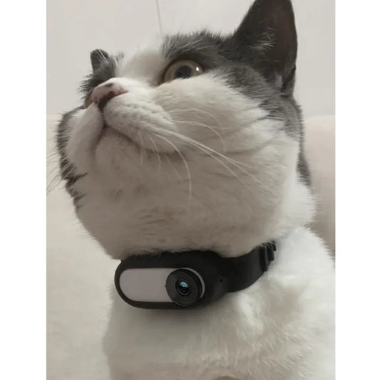 Cámara Collar
