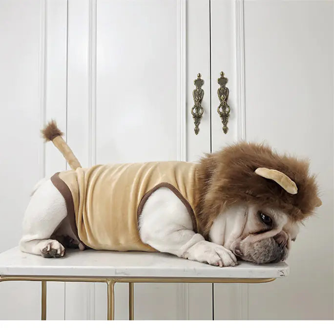 🦁🐶🐱 Disfraz de León para Perros y Gatos – ¡Ruge con Estilo en Halloween! 🎃
