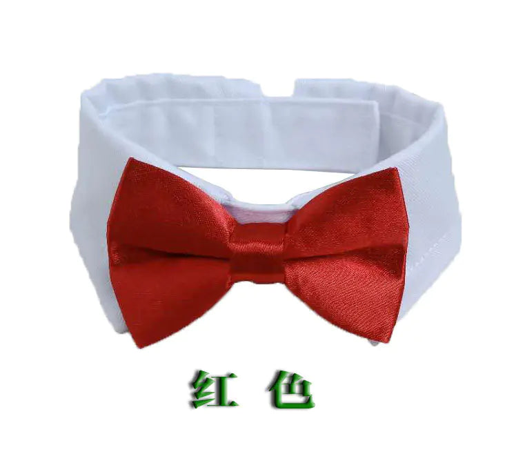 Collar con Corbatín para Perros y Gatos 🐶🐱🎀🐾