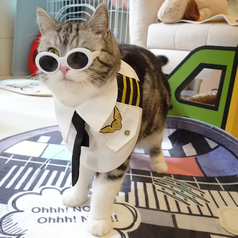 🐱✨ Uniforme Handsome Air Junior para Gatos ✨🐾