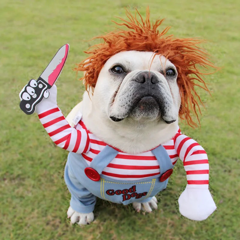 Cosplay de ChucKiller Dog Halloween Pet Costume
