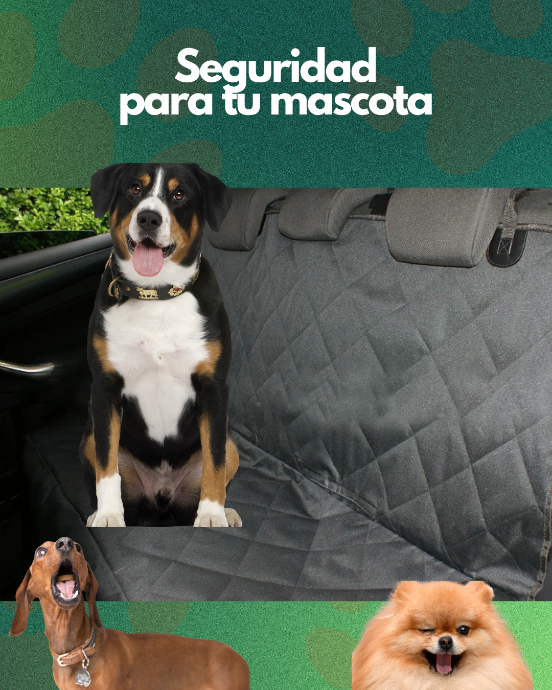 PetGuard Travel Manta 🐾