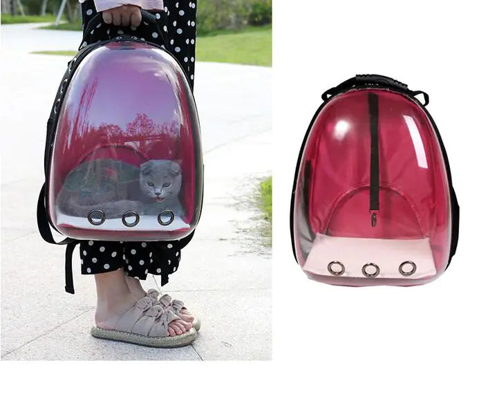 Mochila Transportadora Transparente para macotas