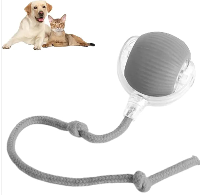 RuedaRueda Pet