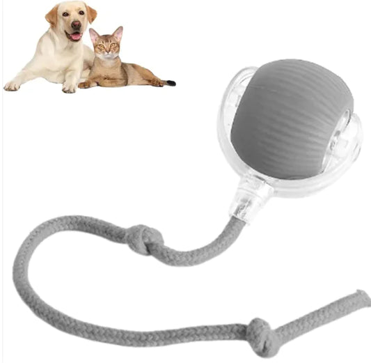 RuedaRueda Pet
