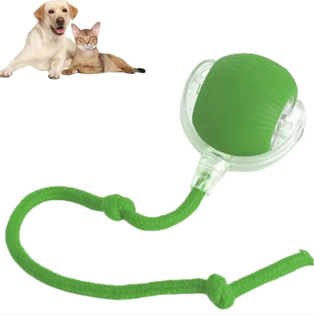 RuedaRueda Pet