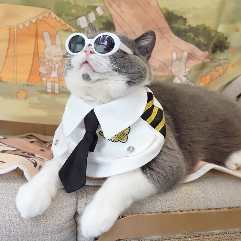 🐱✨ Uniforme Handsome Air Junior para Gatos ✨🐾