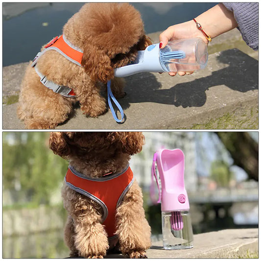 Botella Portátil de Agua 🐾💧