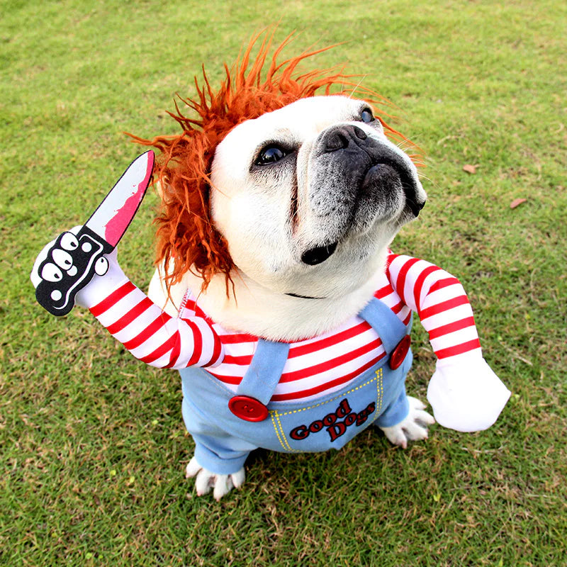 Cosplay de ChucKiller Dog Halloween Pet Costume