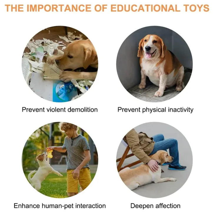 Botón de Comunicación Interactivo para Mascotas