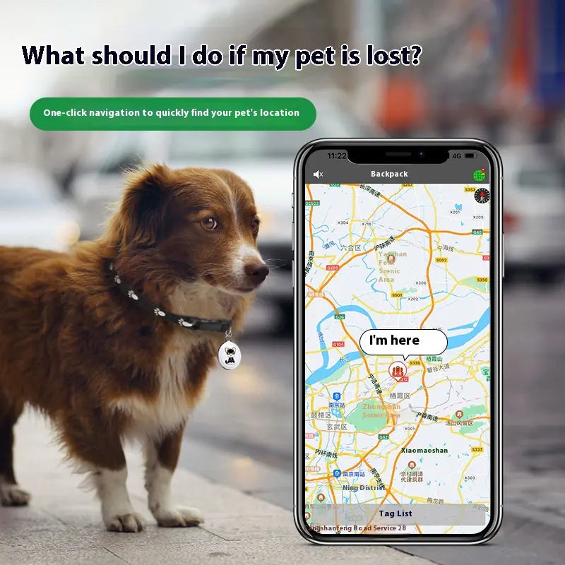 🐾 Rastreador GPS para Mascotas