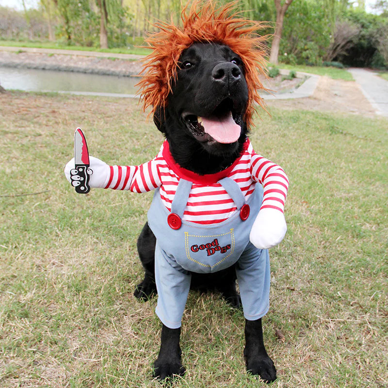 Cosplay de ChucKiller Dog Halloween Pet Costume