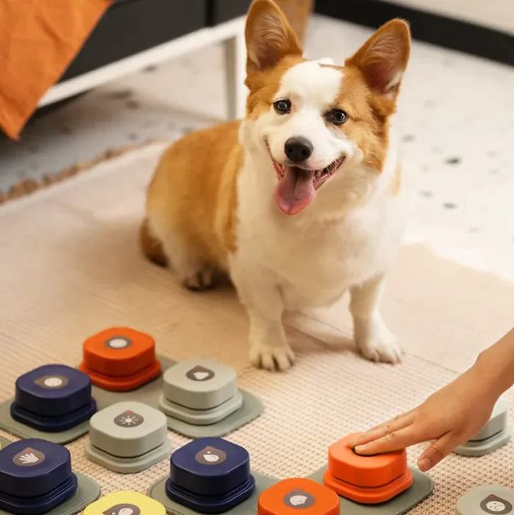 Botón de Comunicación Interactivo para Mascotas